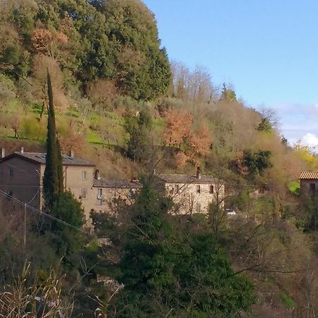 Rustico Apartment Bagnoregio Exterior photo